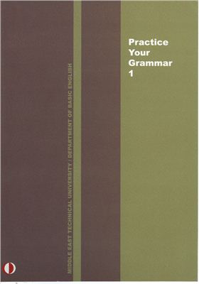 Practice Your Grammar 1