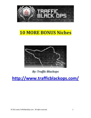 10 more bonus niches