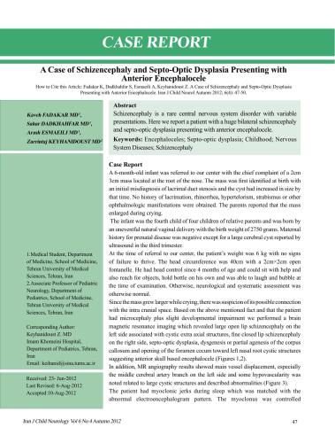 A Case of Schizencephaly and Septo-Optic Dysplasia Presenting with Anterior Encephalocele