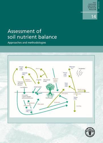 Assessment of soil nutrient balance. Approaches and methodologies