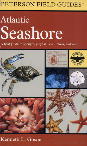 A Field Guide to the Atlantic Seashore