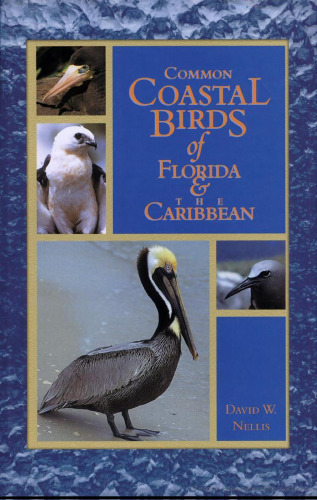 Common Coastal Birds of Florida & the Caribbean