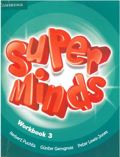 Super Minds 3. Workbook