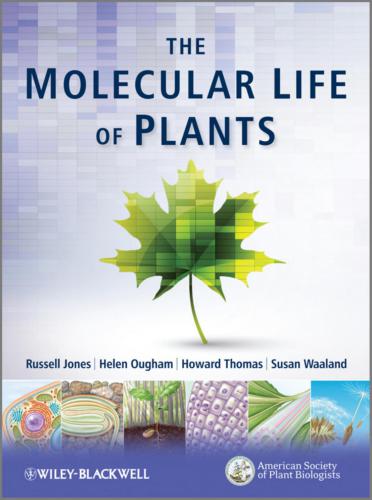 The Molecular Life of Plants (Part III)