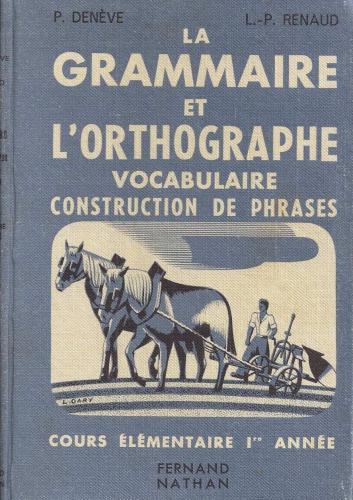 Vocabulaire, construction des phrases. CE