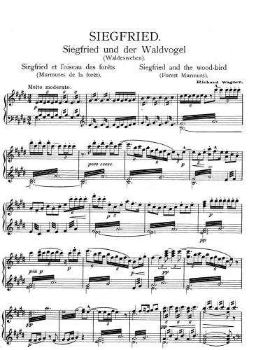 Wagner - Siegfried and the Wood-bird (piano)