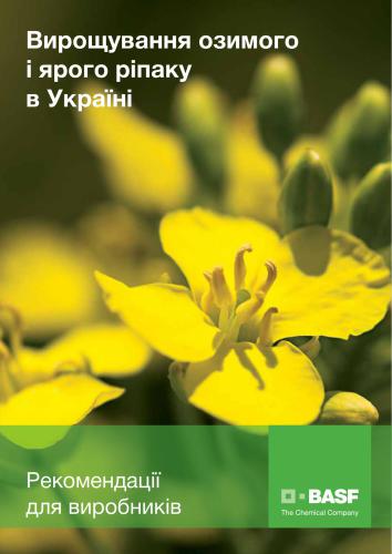 Вирощування озимого і ярого ріпаку в Україні