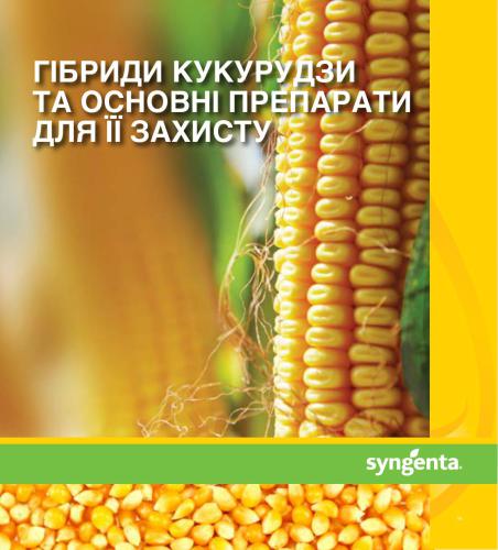 Гібриди кукурудзи Сингента та основні препарати для її захисту