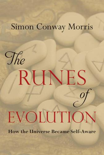 The Runes of Evolution: How the Universe became Self-Aware