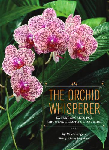 The Orchid Whisperer