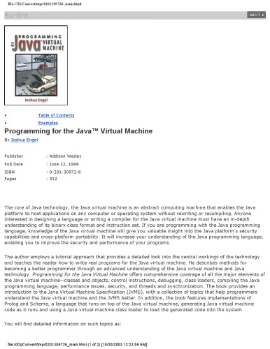 Programming for the Java (TM) Virtual Machine