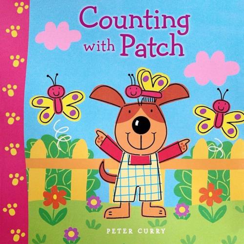 Counting with Patch