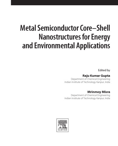 Metal Semiconductor Core-Shell Nanostructures for Energy and Environmental Applications. A volume in Micro and Nano Technologies