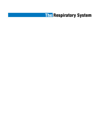 The Respiratory System