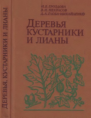 Деревья, кустарники и лианы