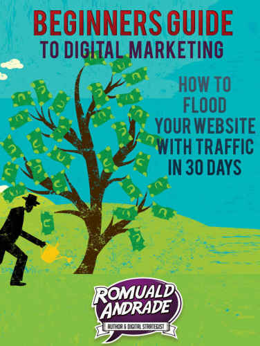 Beginners guide to digital marketing : how to flood your website with traffic in 30 days