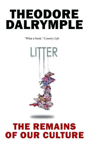 Litter: The Remains of Our Culture