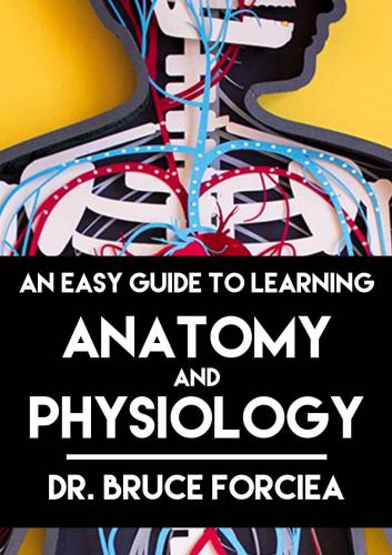 An Easy Guide to Learning Anatomy and Physiology