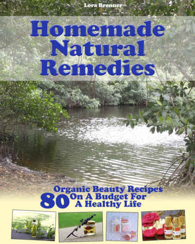 Homemade Natural Remedies: 80 Organic Beauty Recipes On A Budget For A Healthy Life: (Essential Oils, Diffuser Recipes and Blends, Aromatherapy): Volume 3 (Natural Remedies, Stress Relief)