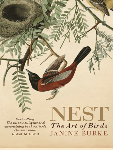 Nest : the art of birds