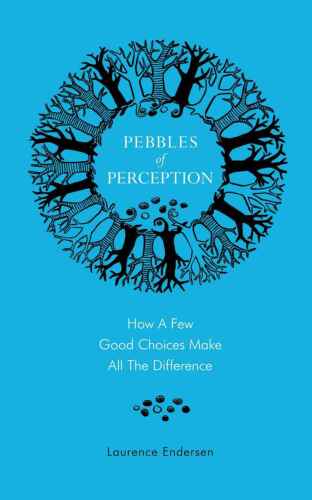 Pebbles of perception : how a few good choices make all the difference