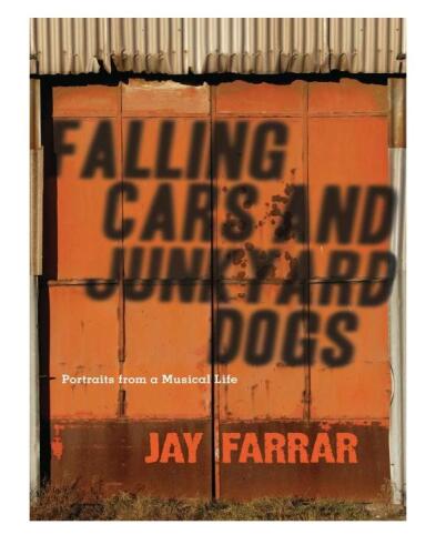 Falling cars and junkyard dogs : portraits from a musical life