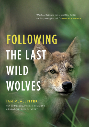 Following the last wild wolves