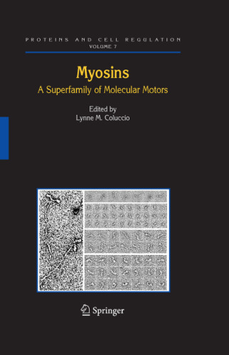 Myosins - A Superfamily of Molecular Motors