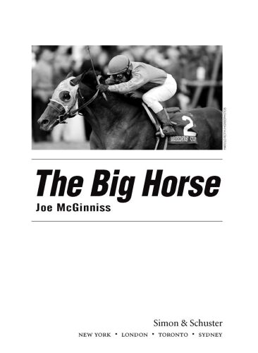 The big horse