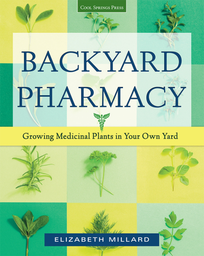 Backyard Pharmacy: Growing Medicinal Plants in Your Own Yard