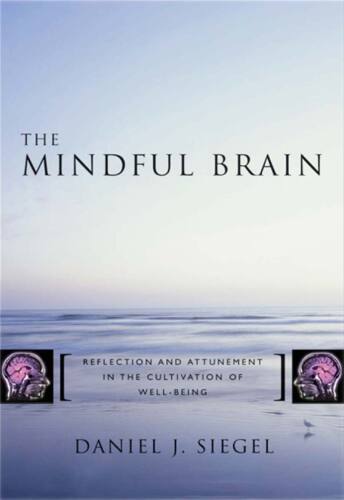 The mindful brain : reflection and attunement in the cultivation of well-being