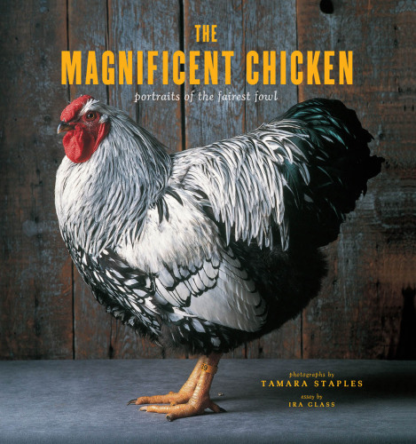 The magnificent chicken : portraits of the fairest fowl