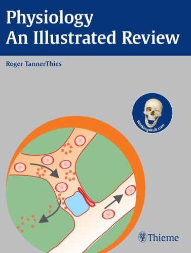 Physiology : an illustrated review