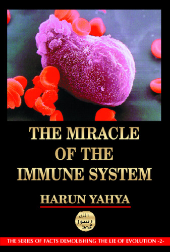 The miracle of the immune system