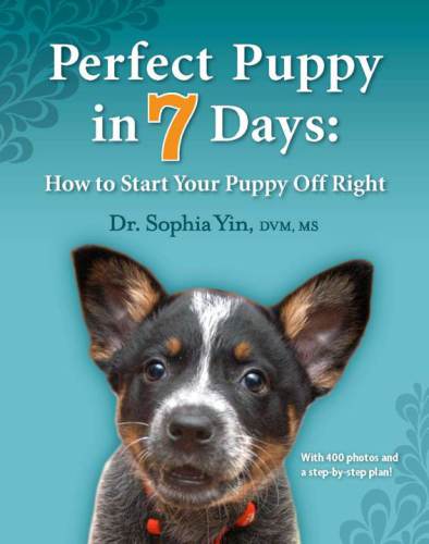 Days: How to Start Your Puppy Off Right