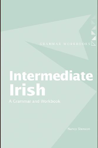 Intermediate Irish A Grammar And Workbook