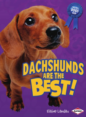 Dachshunds Are the Best! (The Best Dogs Ever)