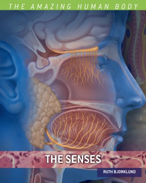 The Senses (Amazing Human Body)