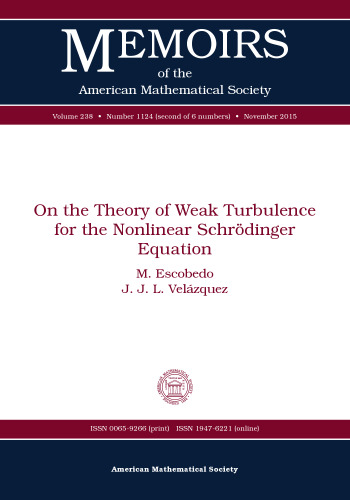 On the Theory of Weak Turbulence for the Nonlinear Schrodinger Equation