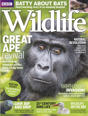 BBC Wildlife Magazine