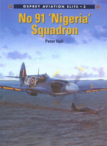 No 91 «Nigeria» Squadron