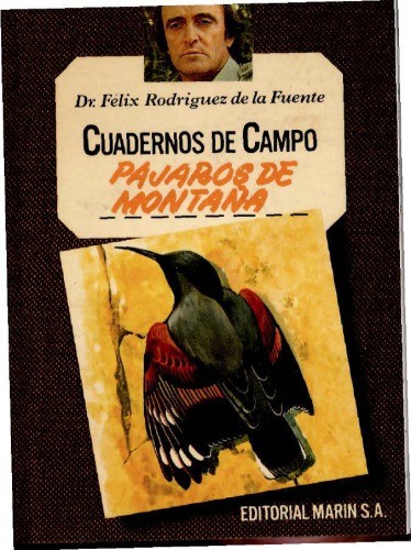 Pájaros de la montaña