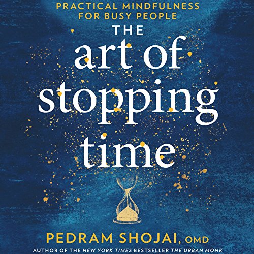 The Art of Stopping Time: Practical Mindfulness for Busy People [AUDiOBOOK]