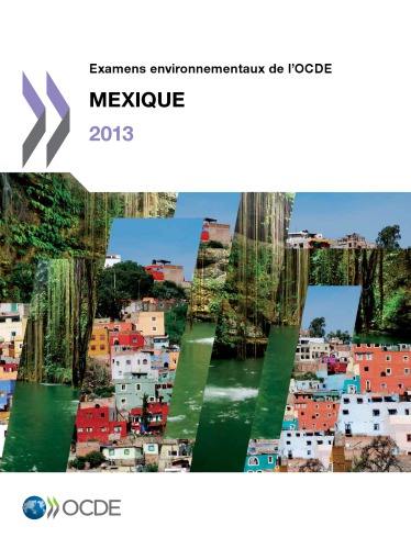 Mexique 2013.