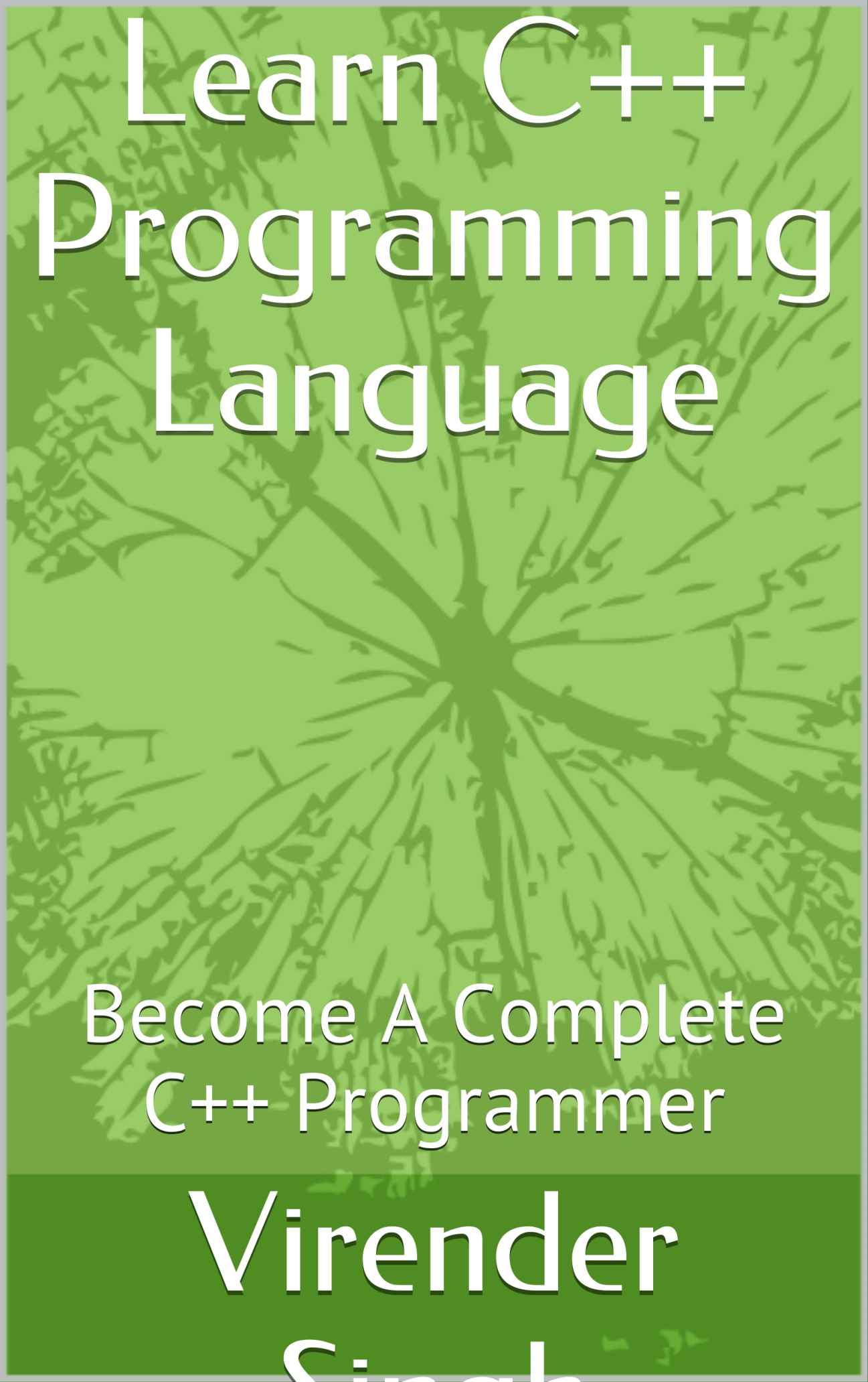 Learn C++ Programming Language