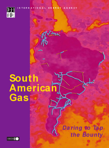 South American gas : daring to tap the bounty