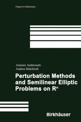 Perturbation Methods and Semilinear Elliptic Problems on Rn