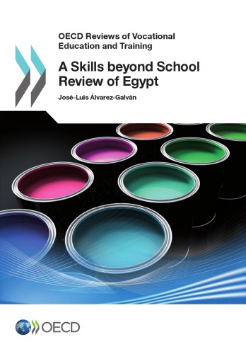 A skills beyond school review of Egypt