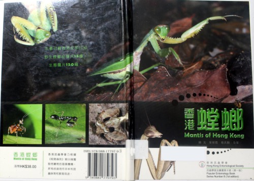 香港螳螂 / Mantis of Hong Kong