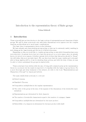 Introduction to the representation theory of finite groups [lecture notes]